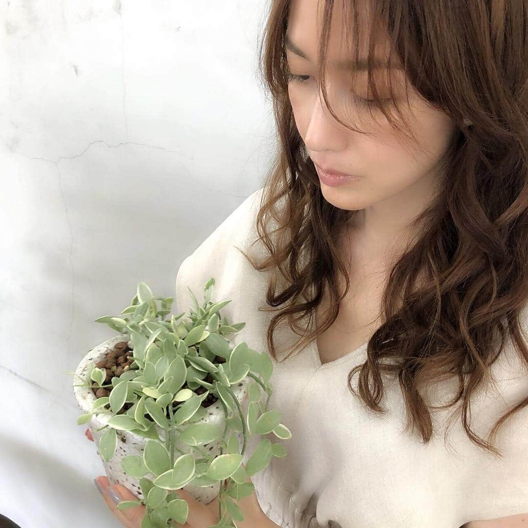 森口瑤子さんのインスタグラム写真 - (森口瑤子Instagram)「. . 今週の植物 . #来週の植物は #多分 #ない . #リーディングシアターもうすぐ #朗読劇 #シスター  #8月30日 #博品館劇場にて」8月27日 16時32分 - yokomoriguchi_official