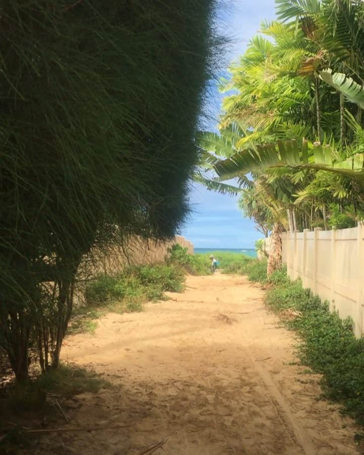 白石蘭のインスタグラム：「民家の間の小道を通り過ぎると 綺麗すぎるビーチが🏝⛱💕 #カイルアビーチ#ラニカイビーチ#ビーチはしご#最高か#lanikaibeach#lanikai#lanikaibeachhawaii#ocean#hawaii#instalike#goproのある生活#これ言いたかった笑」