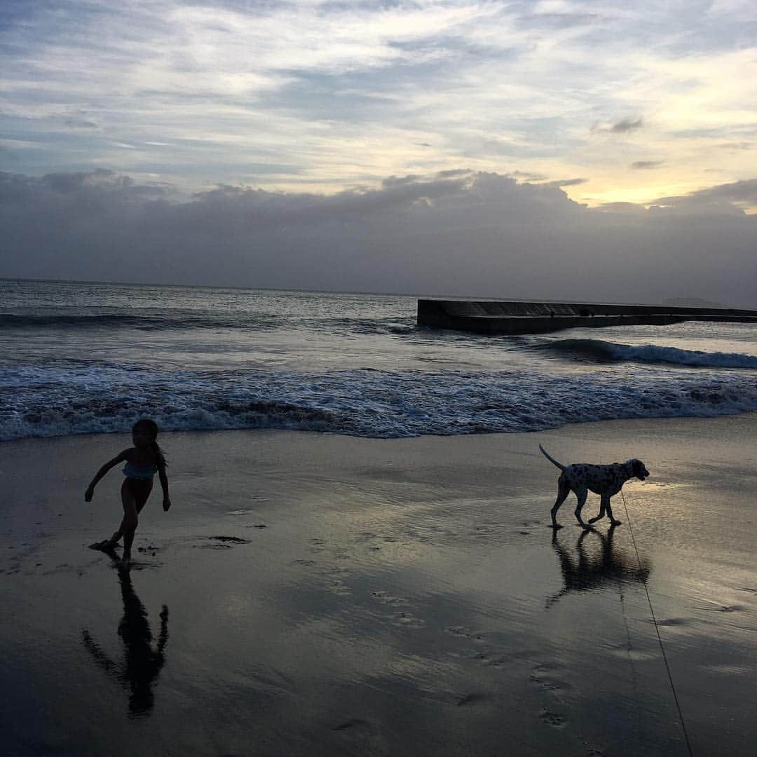 高岡早紀 さんのインスタグラム写真 - (高岡早紀 Instagram)「いっぱい遊んだね。。 #dalmatian #beach」8月23日 22時26分 - saki_takaoka