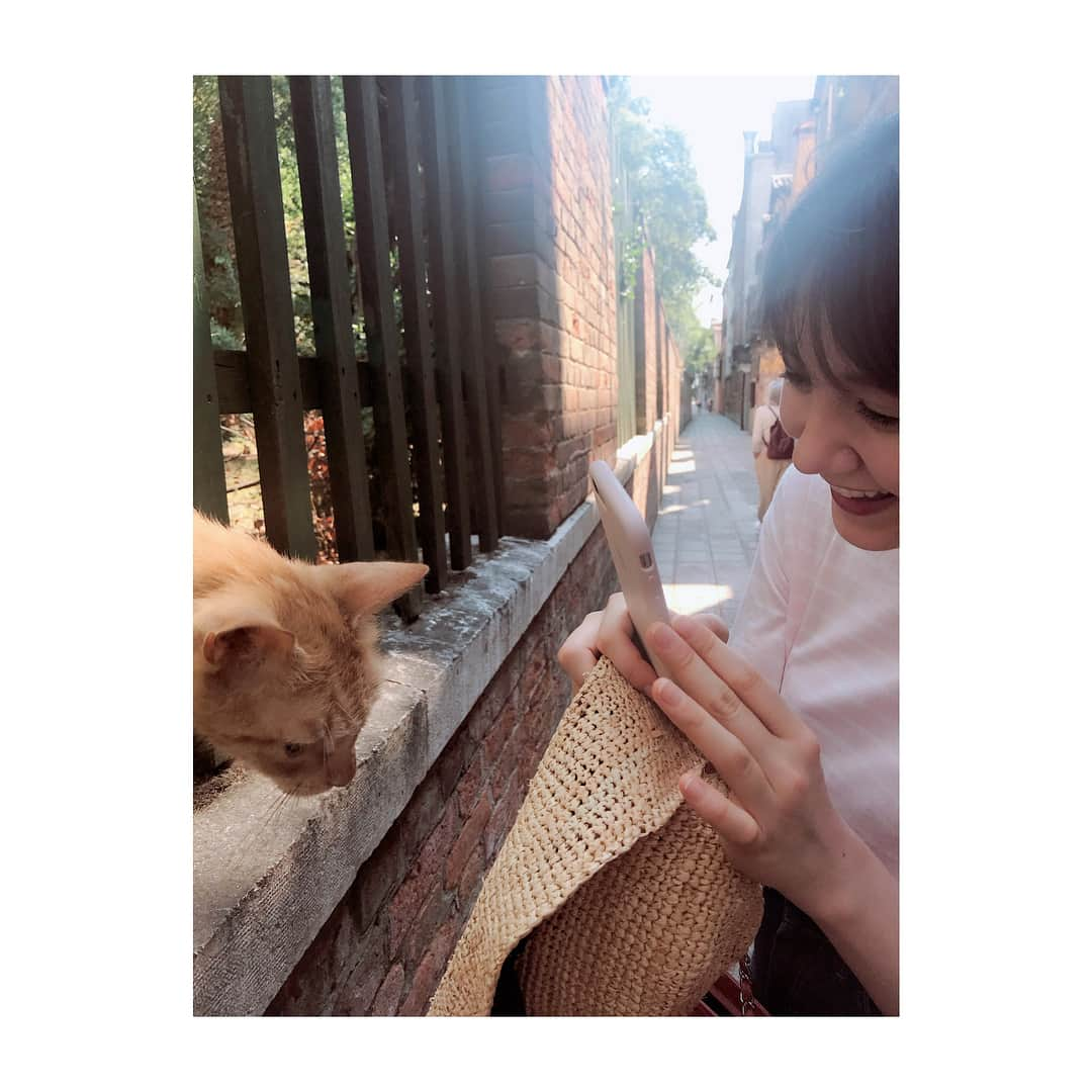 トリンドル玲奈さんのインスタグラム写真 - (トリンドル玲奈Instagram)「猫🐈」8月24日 6時37分 - toritori0123