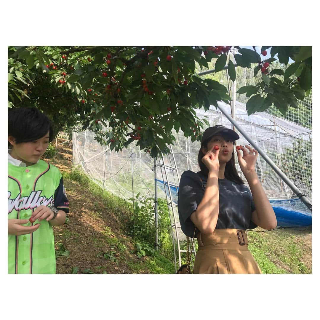 稲村亜美さんのインスタグラム写真 - (稲村亜美Instagram)「夏の思い出〜🤦‍♂️🍒🍒🍒🍒🍒パートつー さくらんぼ狩り〜！」8月24日 15時12分 - inamura_ami