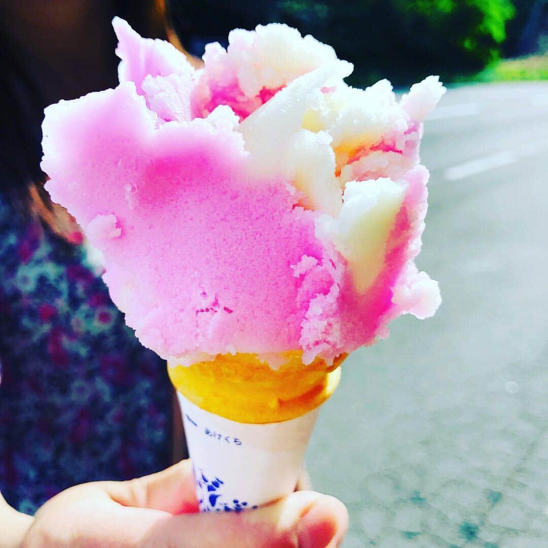 しごとなでしこのインスタグラム：「秋田県の『ババヘラアイス』激うまですよ❤️ #秋田県 #あきた #ババヘラアイス #ばばへらあいす #アイス #あいす #夏 #暑い #あつい #おいしい #美味しい #おやつ #デザート #でざーと #しごとなでしこ」