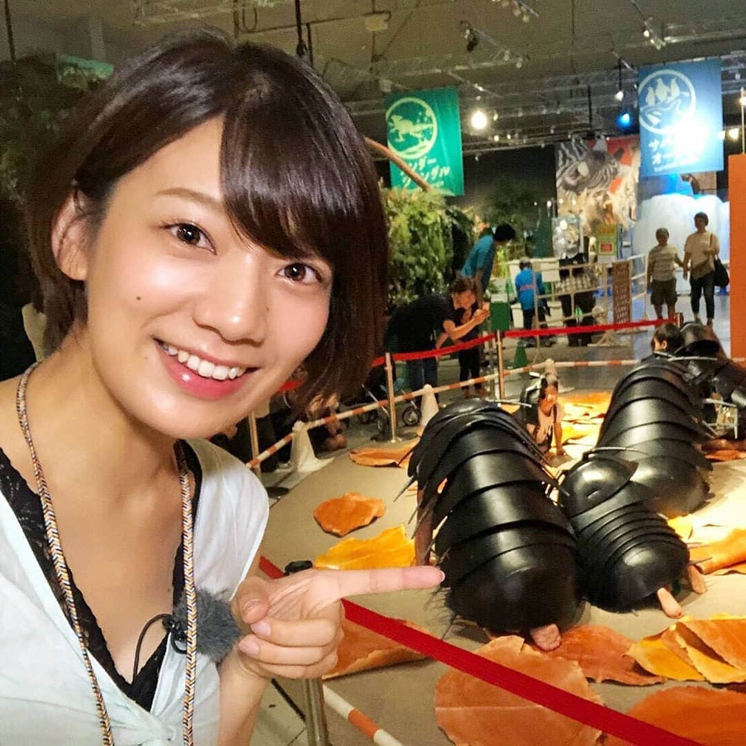 テレビ東京「FOOTxBRAIN」さんのインスタグラム写真 - (テレビ東京「FOOTxBRAIN」Instagram)「今週は #佐藤美希 さんが体験型展覧会「MOVE 生きものになれる展」を取材。ペンギンやダンゴムシなど、さまざまな生きものになりながら“子どもたちの好奇心”をリポート。その可愛い姿に注目です！  8月25日（土）24時20分からの放送をお見逃しなく！  #FOOTBRAIN #サッカー仲間 #好奇心 #興奮  #かわいい #変身 #蝶 ペンギン #ダンゴムシ」8月25日 13時39分 - footxbrain