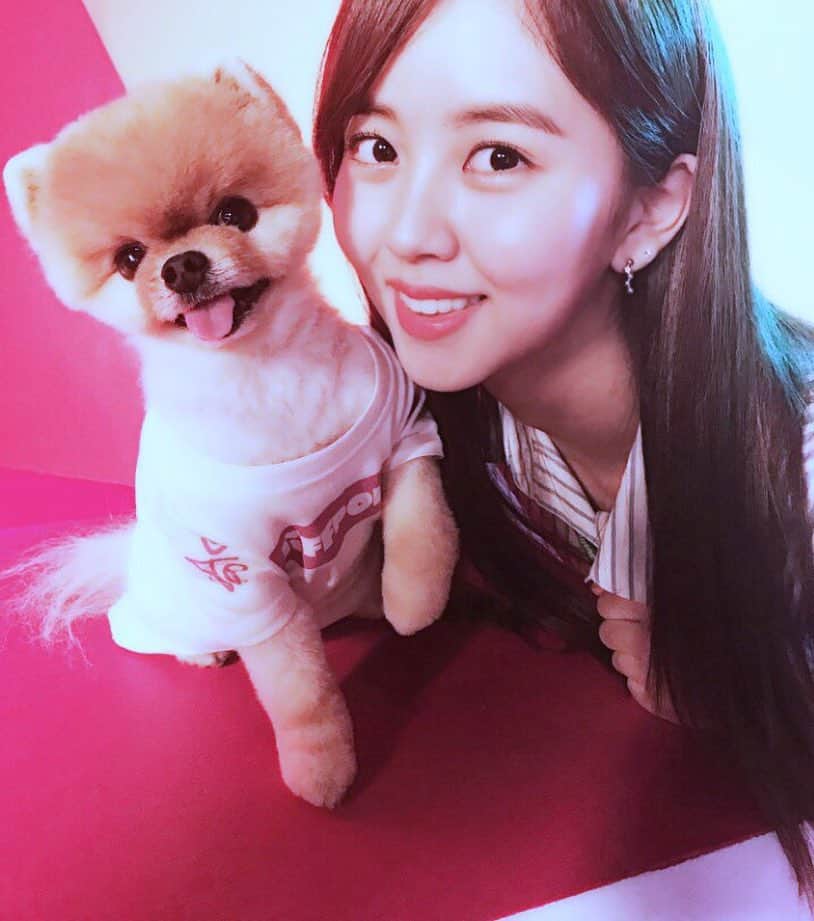 キム・ソヒョンさんのインスタグラム写真 - (キム・ソヒョンInstagram)「So adorable! Having a blast with Jiffpom, the world's most famous (and the cutest!) dog at the Instagram LA office ♥️🐶 @jiffpom #김소현 #kimsohyun #jiffpom」8月25日 14時25分 - wow_kimsohyun