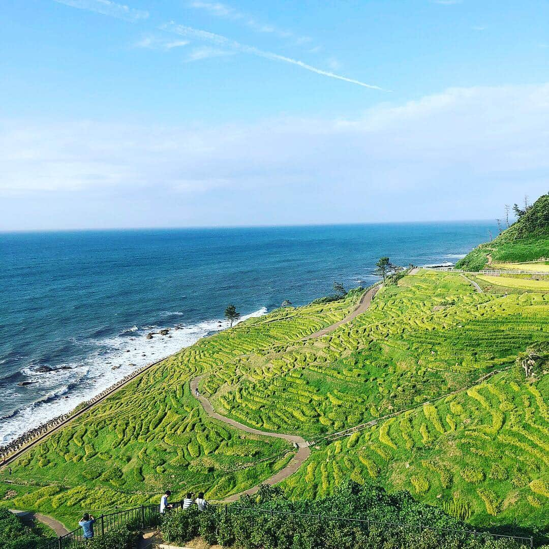 石川県ふるさとワーキングホリデー金沢能登加賀ワーホリいしかわのインスタグラム：「行ってきました、#千枚田 ！ まさに#日本の絶景 ！#フォトジェニック ！ 能登は#能登の里山里海 として#世界農業遺産 に2011年に登録されました。 納得の風景です。 * #いしかわの魅力 #石川県 #石川 #金沢 #能登 #加賀 #いしかわ #いしかわトライアルステイ #ふるさとワーキングホリデー #ふるさとワーホリ #フォトジェニックイシカワ #いしかわステイ魅力発見隊 #能登観光」