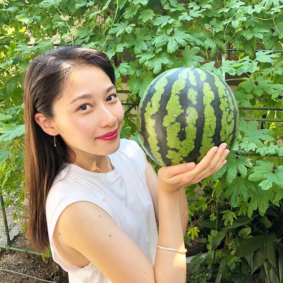 熊谷江里子さんのインスタグラム写真 - (熊谷江里子Instagram)「そろそろ夏も終わり🌻 祖父母のおうちでスイカ🍉 #緑のカーテン#大きなゴーヤが育ってた #summer#watermelon」8月26日 15時25分 - eriko___kumagai