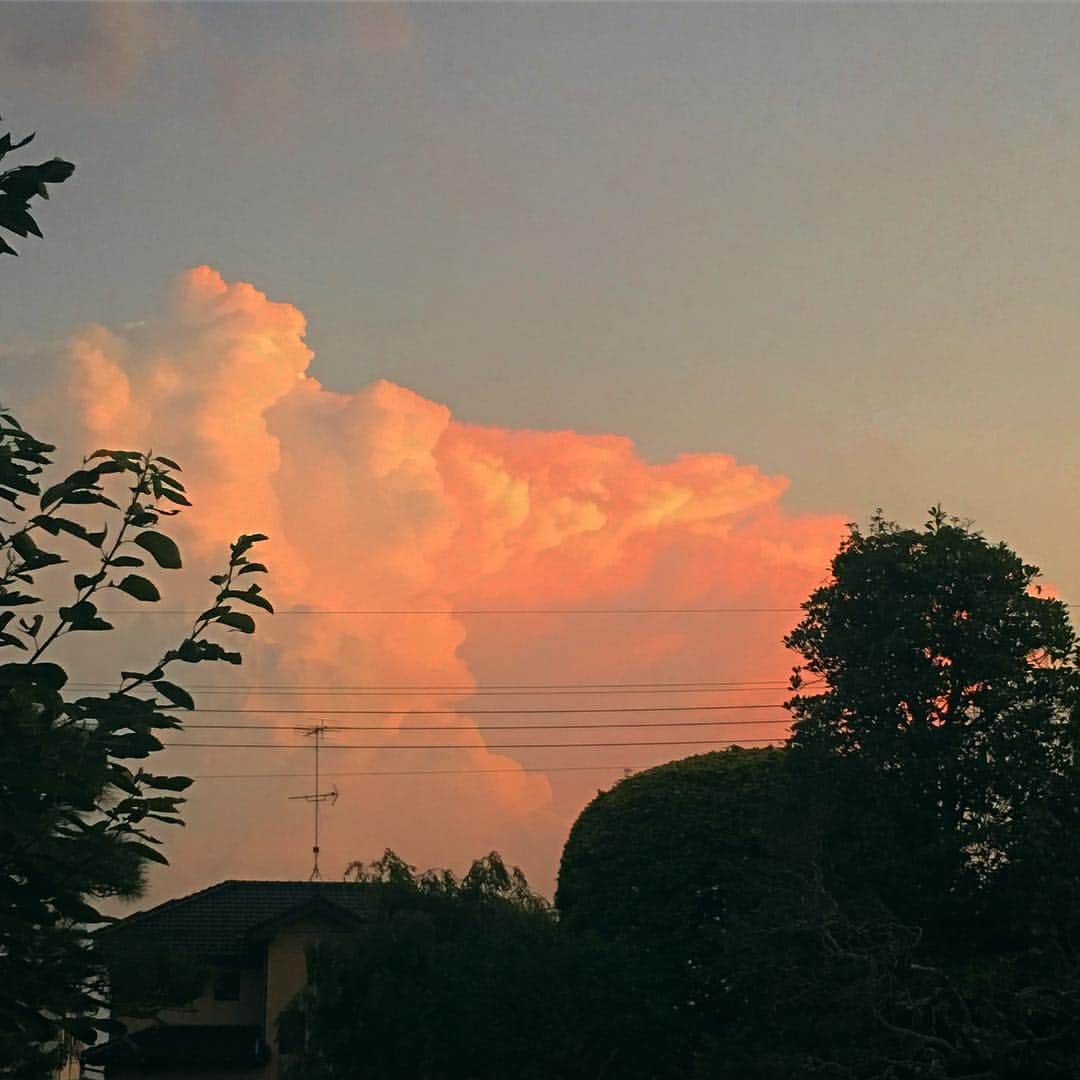 タニザワトモフミのインスタグラム：「2色の雲だったのでつい。」