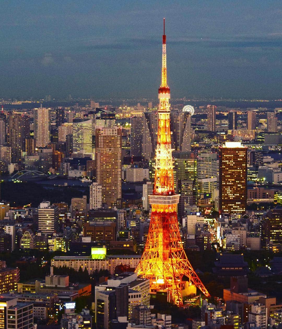 masayaさんのインスタグラム写真 - (masayaInstagram)「Tokyo  view from Roppongi Hills  #Tokyo #Japan #旧東京タワー」8月3日 11時38分 - moonlightice