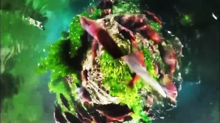 のインスタグラム：「「360度水中動画～Salmon～」 暑い日が続いてますね。 Birod X 360°カメラで、水中を優雅に泳ぐ鮭の群れを撮影しました。 更に、Wireless Lineを使えば水中での様子を観察しながらの撮影が可能です。  涼しげな水中を眺めながらの撮影はいかがでしょう。 ▶商品はプロフィールのリンクからどうぞ https://www.birodstore.com/  さぁあなた前人未到の視点へ "360°View underwater video ~ Salmon ~" Hot day continues. I photographed a group of salmon elegantly swimming in the Birod & 360 ° camera. "Wireless Line" can shoot while observing the underwater situation.  How about shooting while looking at the cool underwater? ▶ Please check the product link from the profile https://www.birodstore.com/ "Well, to your unexpected perspective"  #birod #WirelessLine　#涼しげ　#7.5m #7500 #lumica #ルミカ #highangle #highview #Instagood #水中 #水中動画 #水中映像 #waterproof　#鮭　#Salmon #Underwaterphotography #Underwatervideo #THETA #シータ　#THETA360 #THETAのある生活 #THETAV #涼しげ」