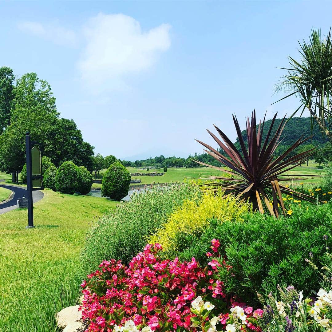 宮崎宣子のグルメインスタ