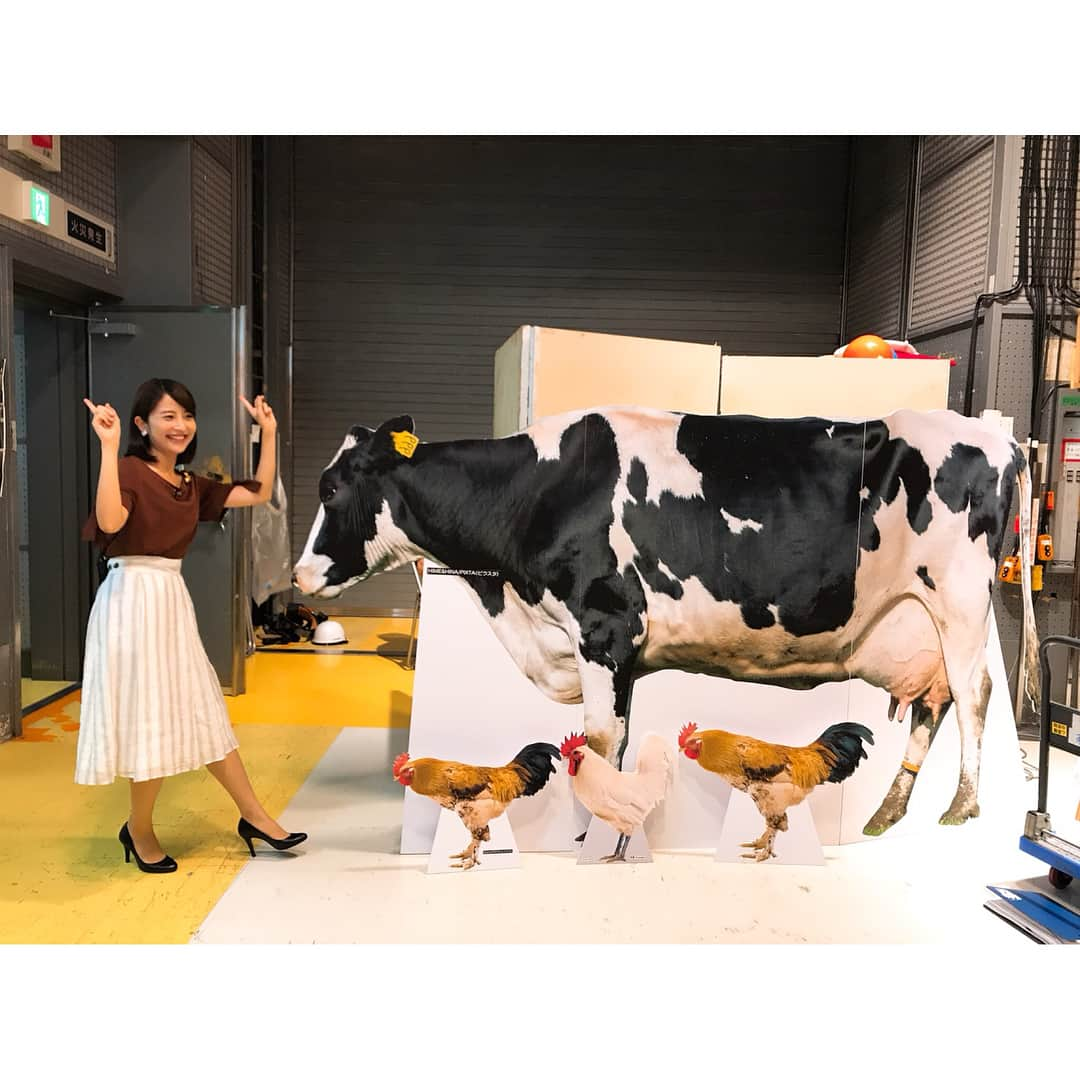 TBSアナウンサー公式さんのインスタグラム写真 - (TBSアナウンサー公式Instagram)「「みなほは見た」 どうもこんにちわ！✨ ひるおび金曜３人娘で、舞台裏をお届けです＾＾ 末っ子麻音子は、 ブレーメン的ポーズを決めてくれました♬  午後のひるおびもよろしくお願いします‼︎ #江藤愛 #日比麻音子 #林みなほ #ひるおび #金曜 #舞台裏 #愛さん前髪カムバック #みなほは見た #tbs #tbs公式  #fromtbs #tbsradio  #tbs_annogram #TBSアナウンサー公式インスタグラム #tbsアナグラム」8月3日 12時43分 - tbs_annogram