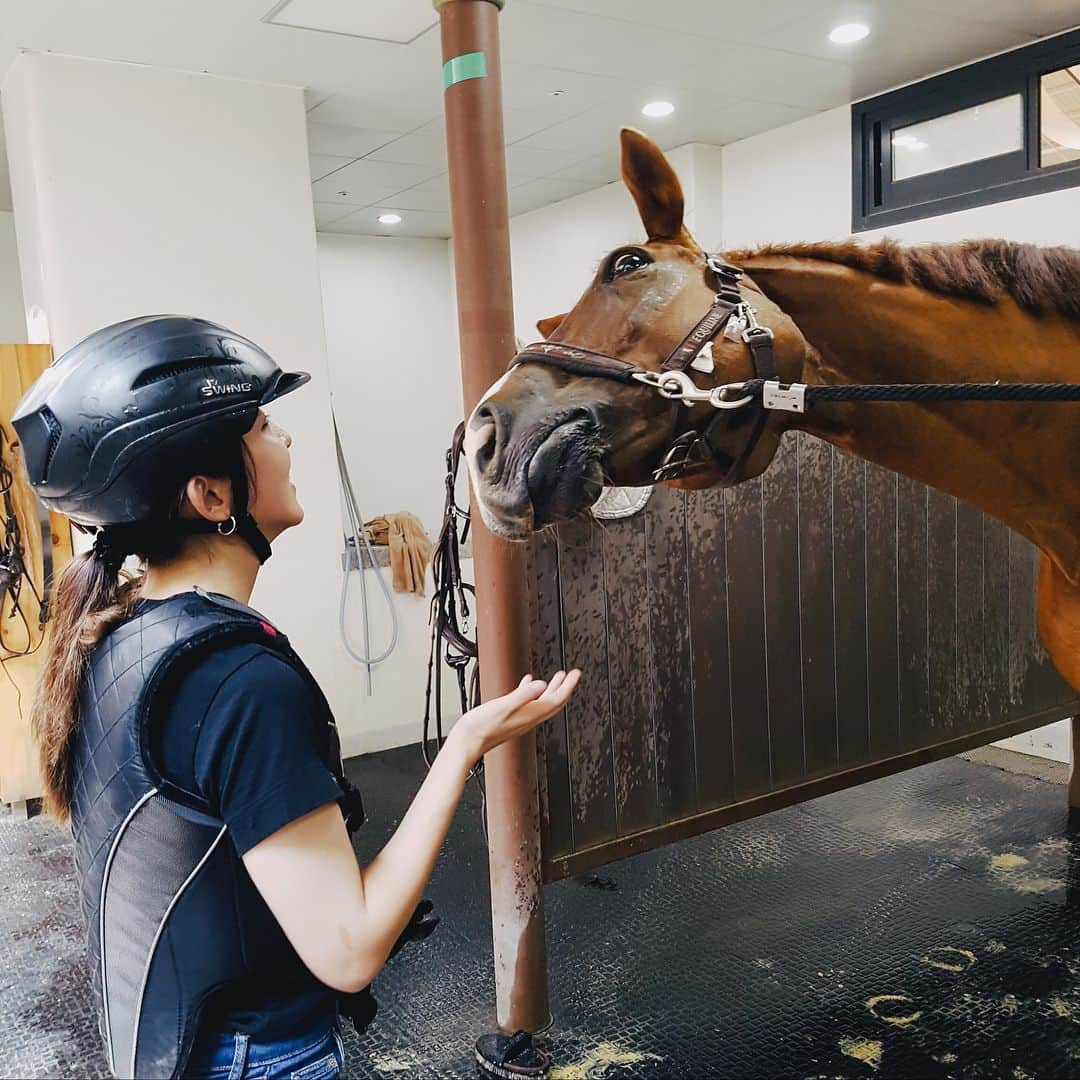 ソヒョン さんのインスタグラム写真 - (ソヒョン Instagram)「생에 첫 #승마 강아지랑은 또 다른 말과의 교감💑 빗겨주고 만져주고 알아가고 레녹스 🐴 오늘 고마웠어🙏 다음에 더 친해지자 또 만나~😍」8月3日 16時33分 - kkwonsso_94