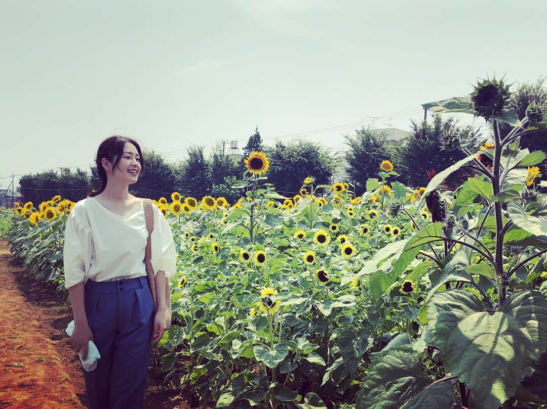 笛木優子のインスタグラム：「🌻 明日朝 9:25から日本テレビ ぶらり途中下車の旅 に出ます☀️ みなさん、良い週末を(//∇//)」
