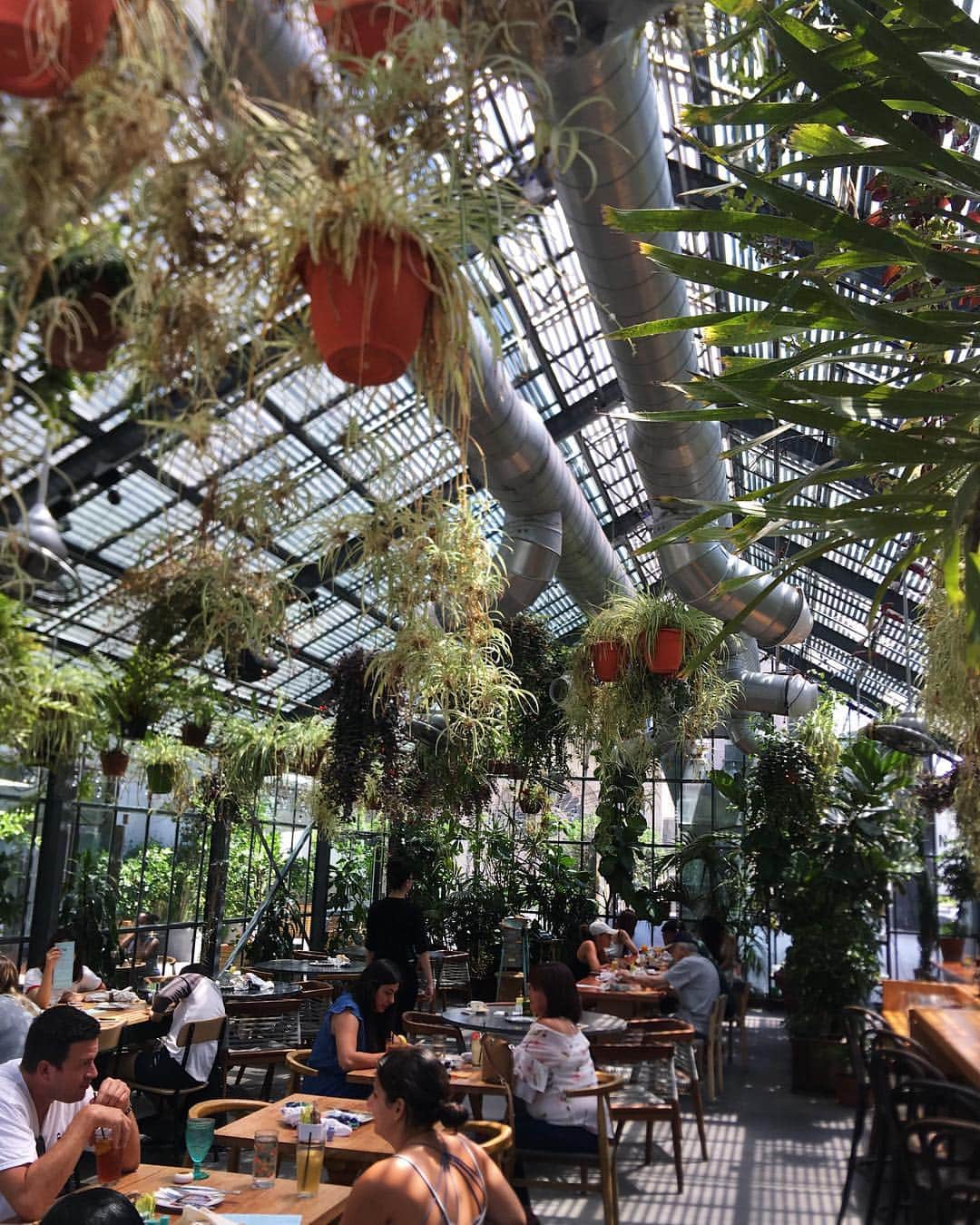 大森勝太朗のインスタグラム：「eating my way through every cute place in LA 😌🌿」