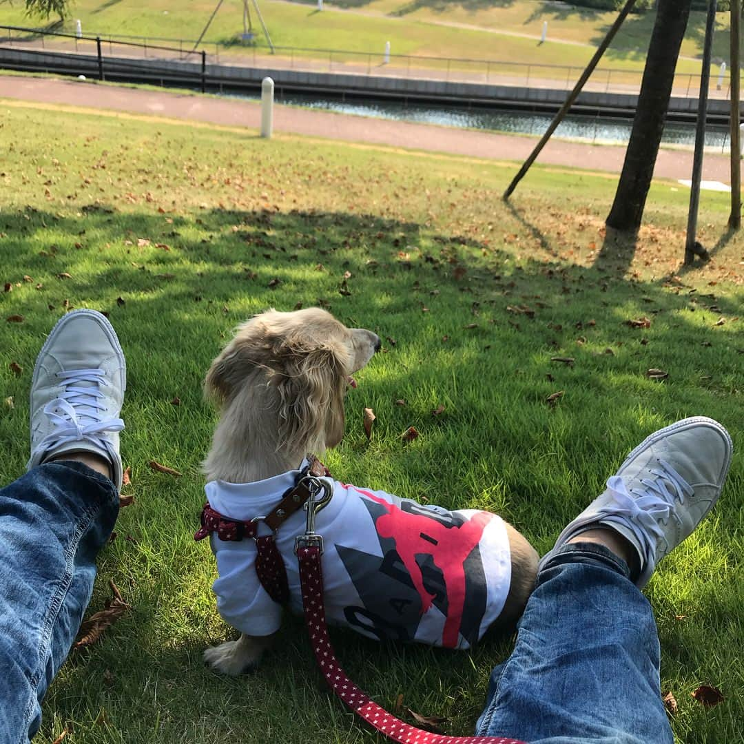 阿部友和さんのインスタグラム写真 - (阿部友和Instagram)「練習オフの日はダンクと環水公園デート。スタバは人多すぎてスルー。ダンクバテバテやし俺も汗だく。  #富山市総合体育館 #横 #環水公園 #スタバ #環水公園スタバ #富山グラウジーズ #犬散歩 #ダンク」8月4日 18時31分 - tomokazu_abe