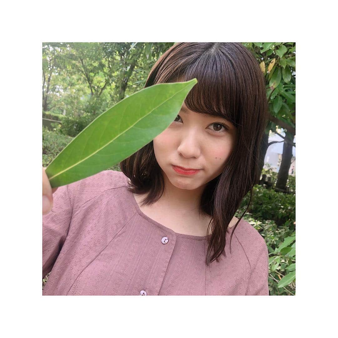 清水麻璃亜のインスタグラム：「* 写真撮ってもらうとき 恥ずかしくて何か持ちがち #まりああるある」
