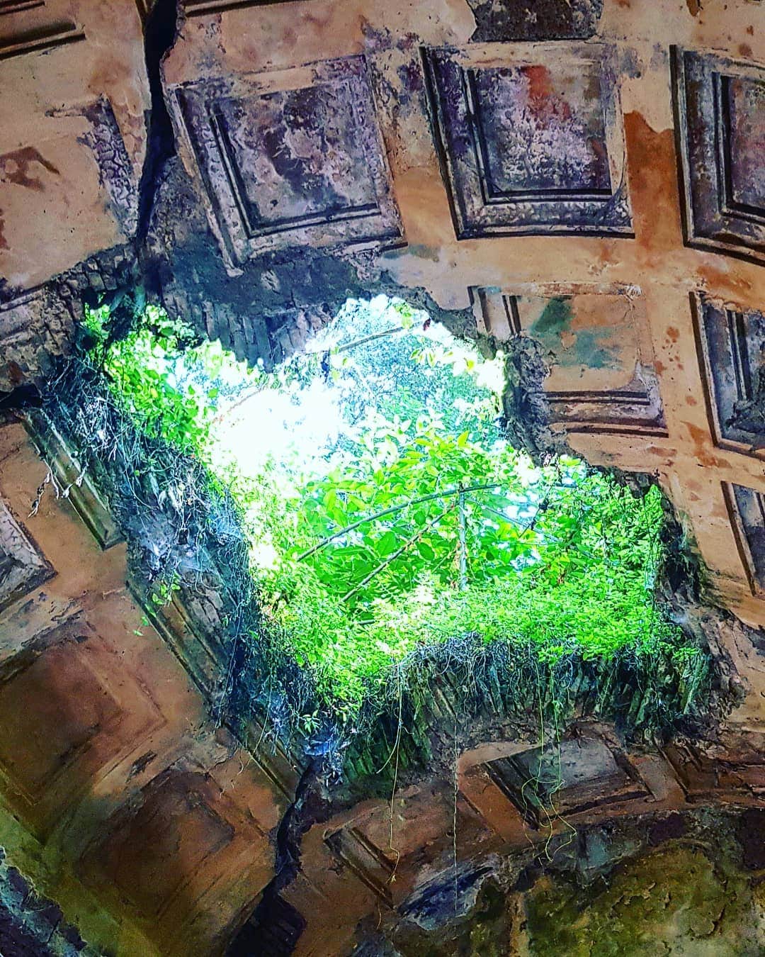 Lu Lanotteのインスタグラム：「A view on the sky . . . #caserta #reggiadicaserta #art #campania #siling #italia #italy #napoli #bagnodivenere #borbone」