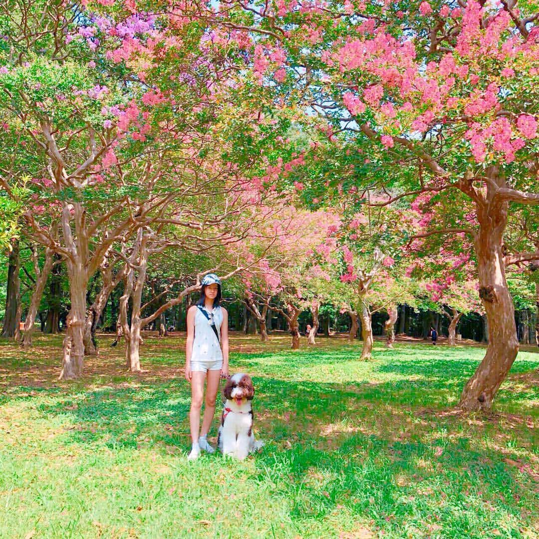 kokiさんのインスタグラム写真 - (kokiInstagram)「Pretty pink」8月4日 22時26分 - koki