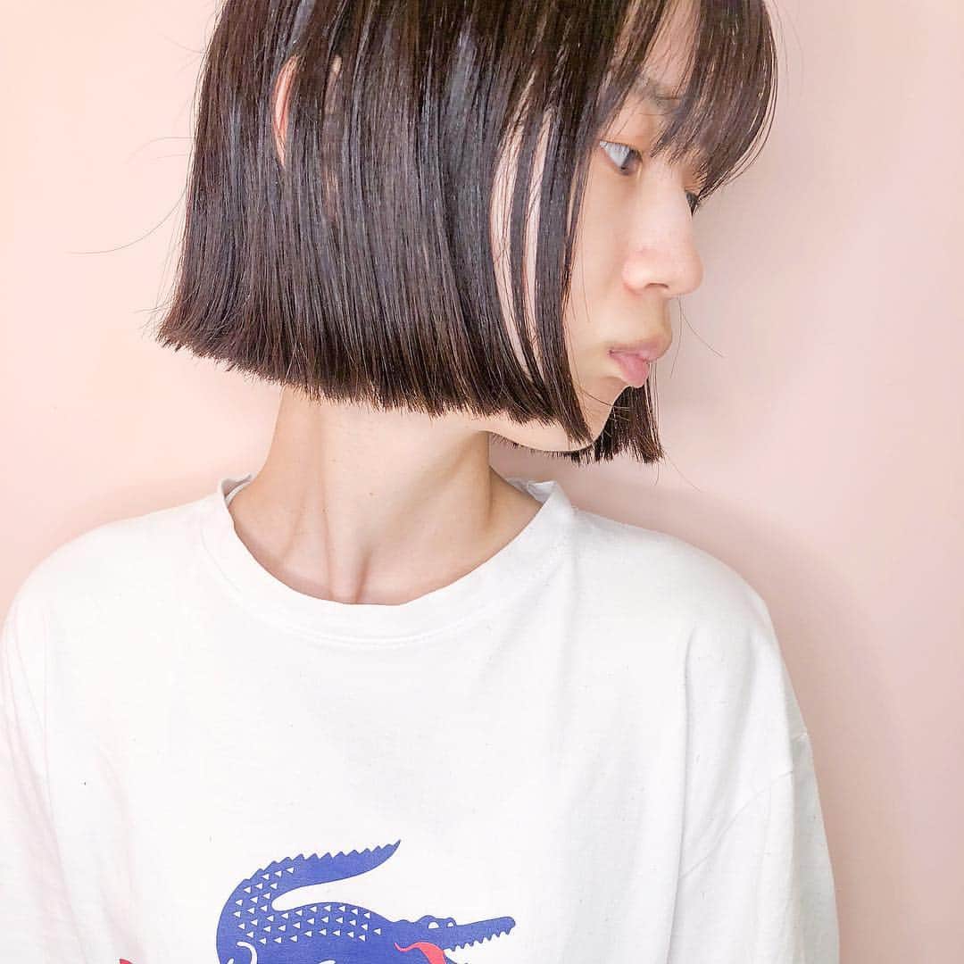原涼香のインスタグラム：「ㅤㅤㅤㅤㅤㅤㅤㅤㅤㅤㅤㅤ トレンド韓国スタイル🇰🇷💕 『 タッセルボブ ✂️ 』 いまKpopアイドルや、オルチャン達も 続々とタッセルボブにしてます♡ ㅤㅤㅤㅤㅤㅤㅤㅤㅤㅤㅤㅤㅤ 乾かすだけで可愛くなるから コテが苦手な人でもOK🙆🏼‍♀️💓💓 ㅤㅤㅤㅤㅤㅤㅤㅤㅤㅤㅤㅤㅤ 今日、日曜日は 11時、17時半のみ空いてます^ ^ ㅤㅤㅤㅤㅤㅤㅤㅤㅤㅤㅤㅤㅤ」