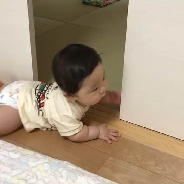 大内ライダーのインスタグラム：「暑さを忘れる #今日の叔父殺し  自分で開けて閉めるふすまの音に、いちいちビックリする」