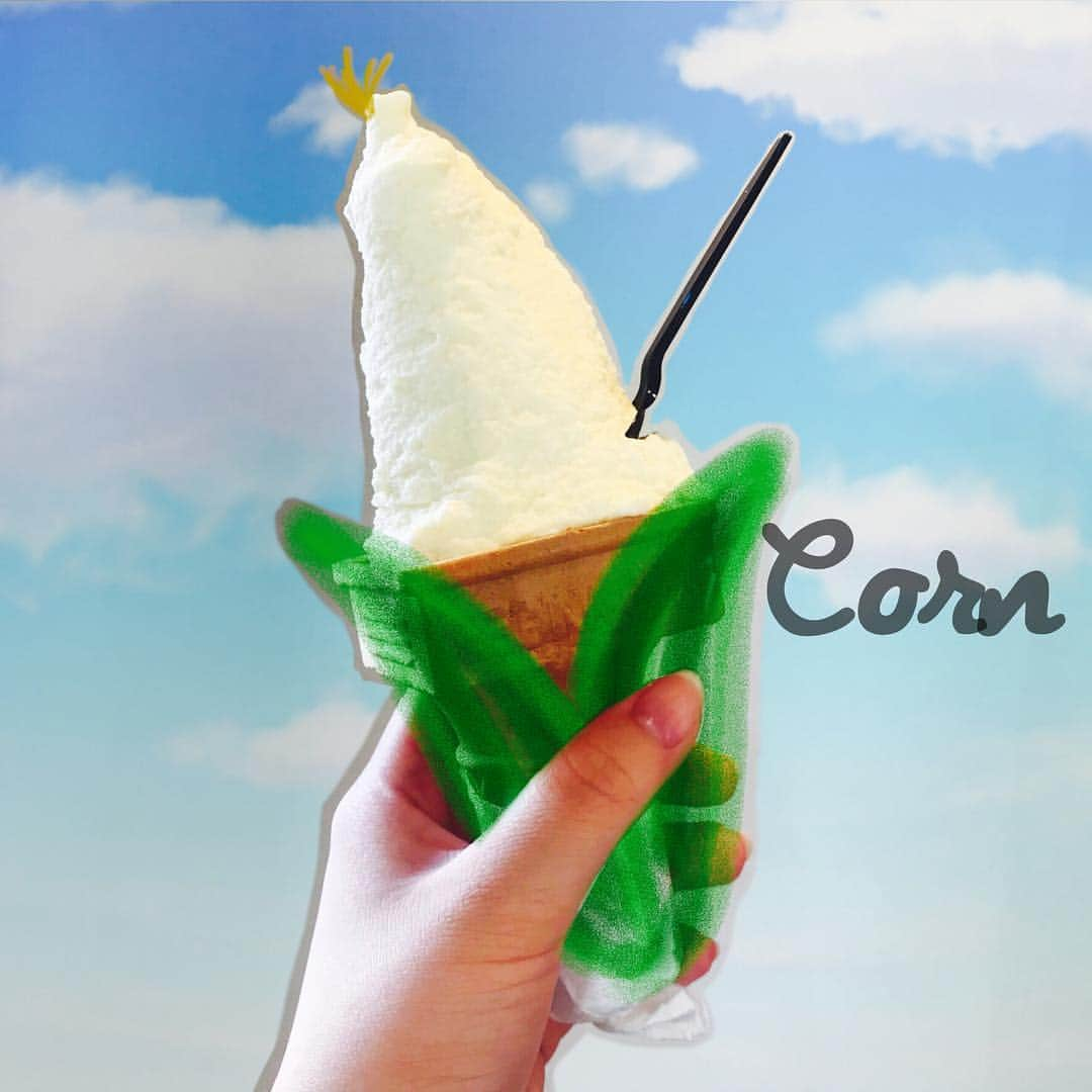 ジェラテリア ピッコ 松本のインスタグラム：「． 🍦 ジェラテリアピッコ松本🍦 *. . ・­­ ㅤㅤ8.5(日) ㅤㅤㅤ­­-- とうもろこし -- ­­・ .* ・ ． #ジェラテリアピッコ #ジェラテリアピッコ松本#松本 #松本カフェ#ジェラート#スイーツ#とうもろこし#トウモロコシ #corn#vegetable #matsumoto#gelateriapicco #picco#food#dessert#sweets#gelato🍦 #foodpic#instadessert  #foodstagramm」