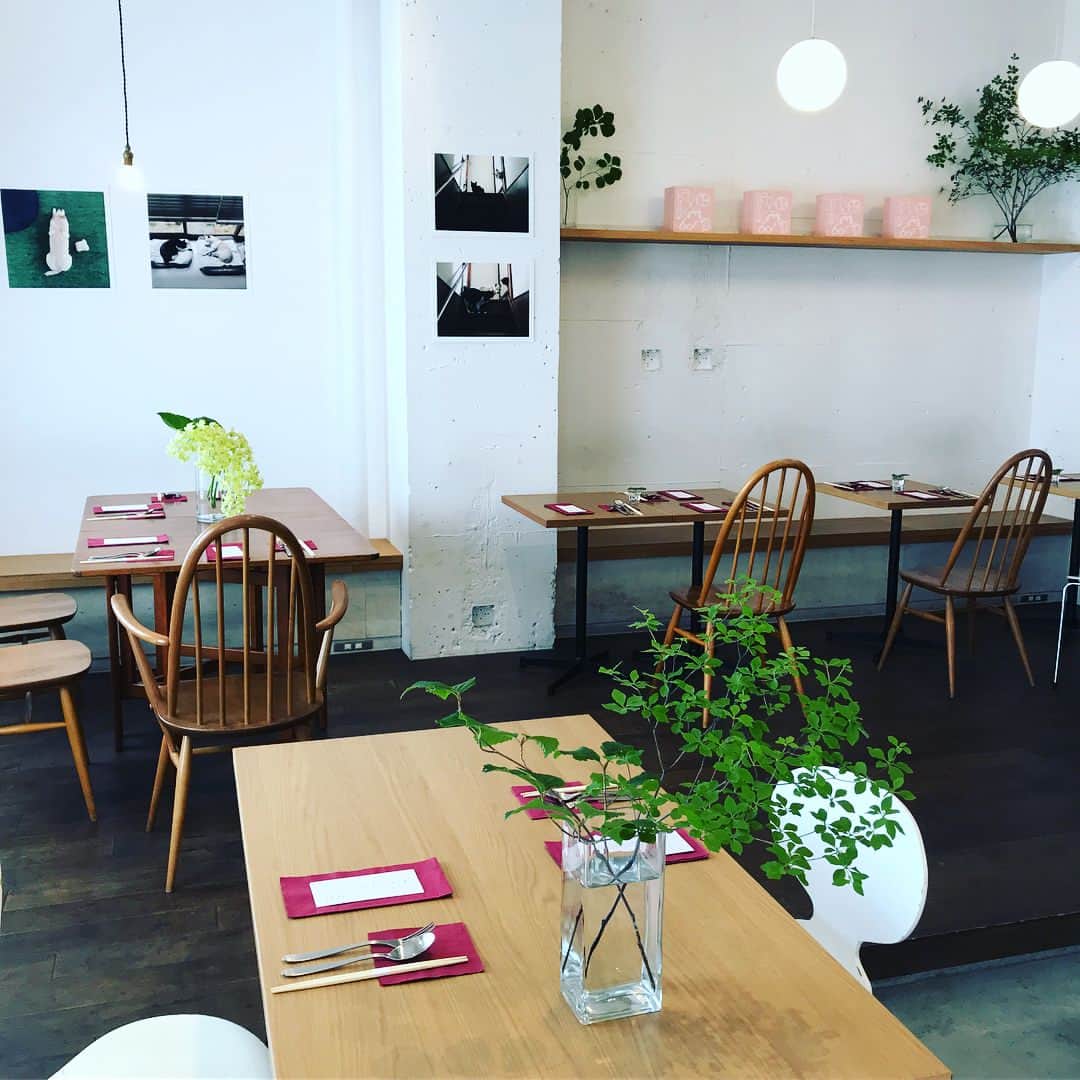 なかしましほ（foodmood）のグルメインスタ