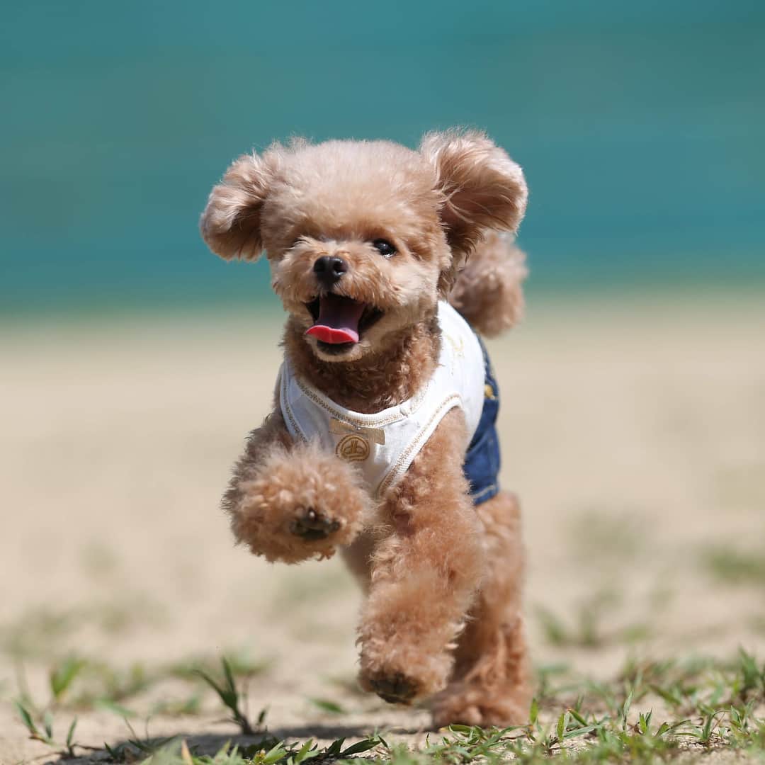 ❤︎Till❤︎のグルメインスタ