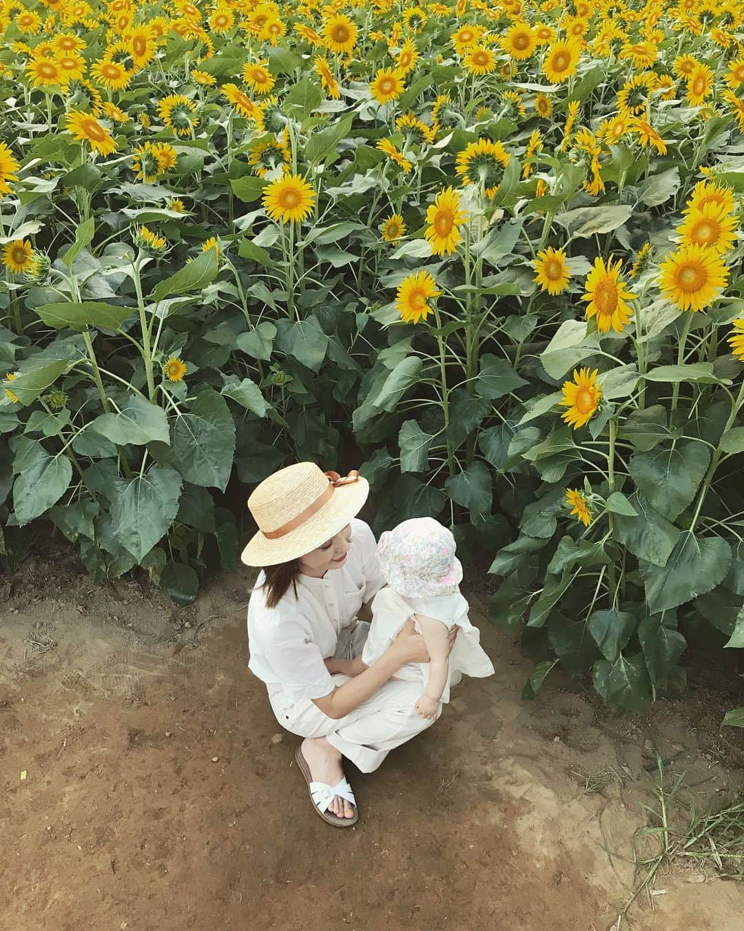 AMOさんのインスタグラム写真 - (AMOInstagram)「毎年来ているひまわり畑へ またこの夏も🌻 もう落ち着いて撮らせてはくれない3歳男子を写真に収める難しさ🤣 そのぶん娘の親バカ写真を撮りまくったのでした。 ロック画面にしたい写真がありすぎて 日替わりにしたいくらいだ☺️🌈」8月6日 13時46分 - amo_whale