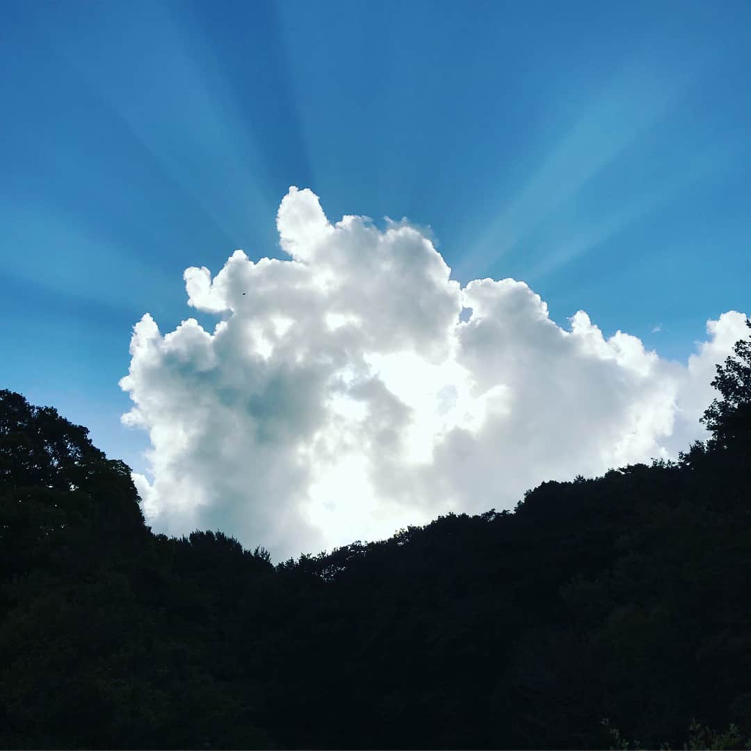 小林麻耶さんのインスタグラム写真 - (小林麻耶Instagram)「お気に入りの場所🌈 #明治神宮宝物殿  #森林浴は気持ちいい #この岩がパワーあるとか！？☀️」8月6日 13時49分 - maya712star9