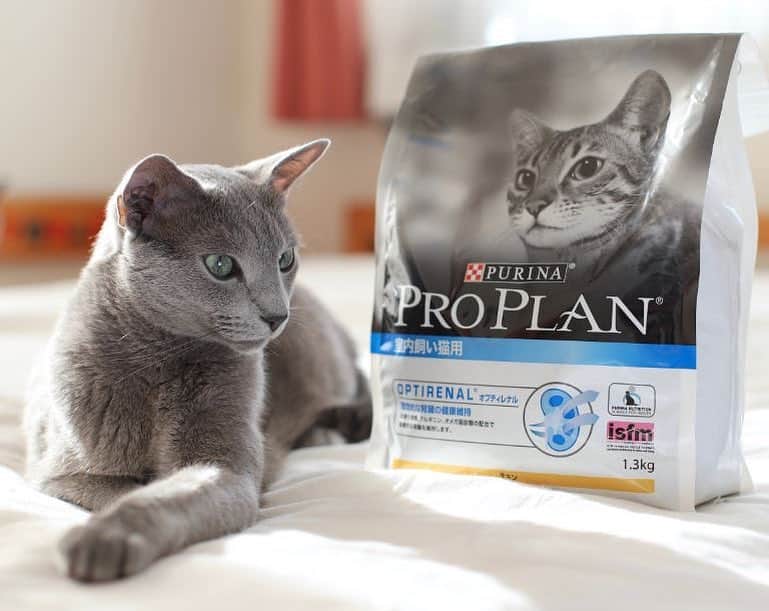 Purina Pro Plan Japanのインスタグラム