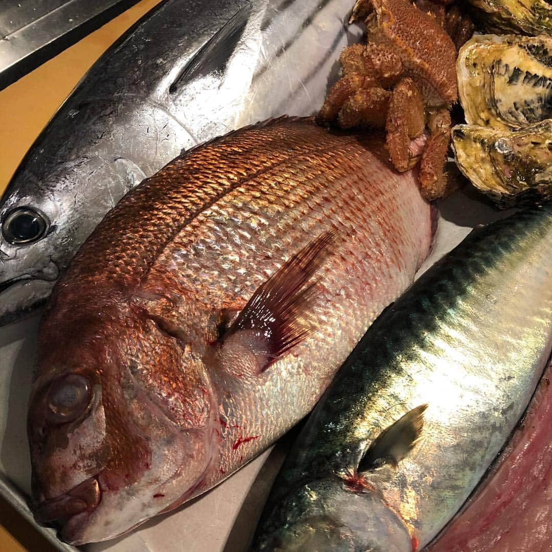 築地Azamiのグルメインスタ