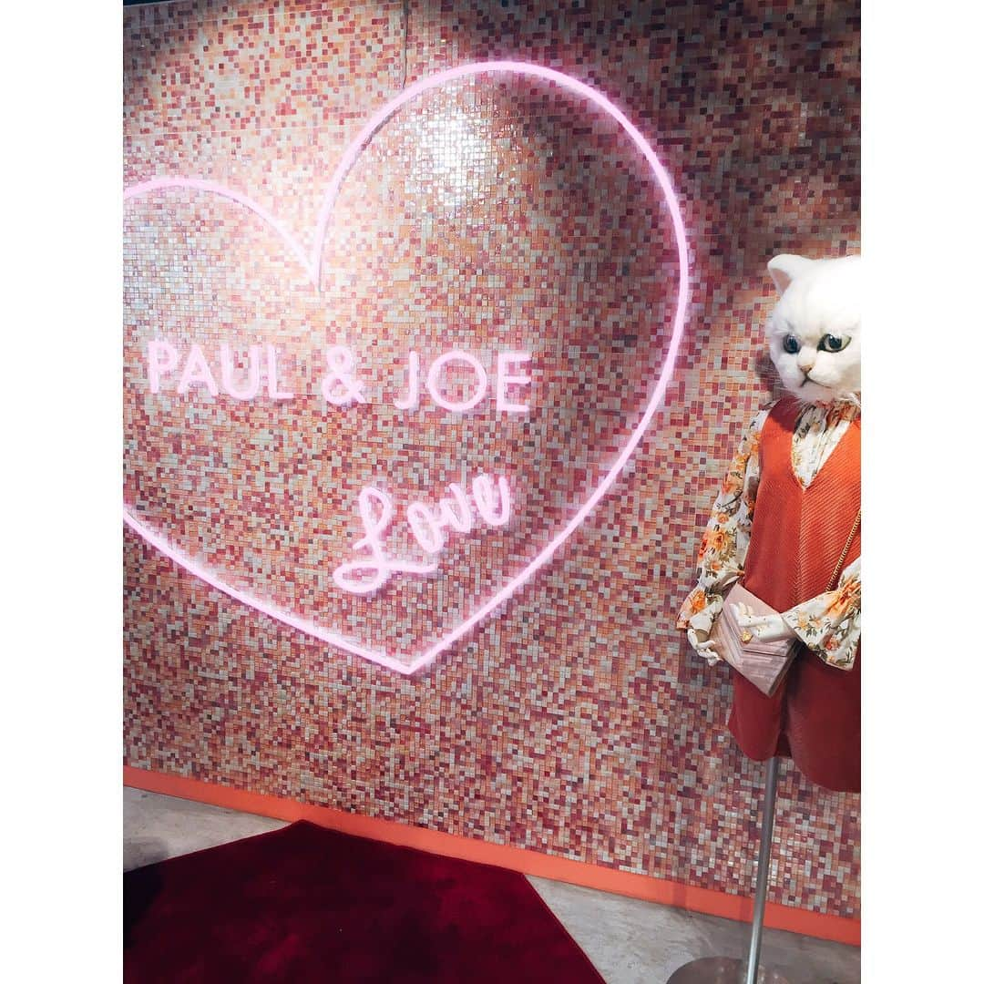 宮田聡子さんのインスタグラム写真 - (宮田聡子Instagram)「だだ大好きな#paulandjoe のキャットストリート店がオープンしたので、パーティにお邪魔させていただきました‼︎ 猫モチーフがなんとも愛らしい‥ はぁ可愛い‥可愛すぎる‥好き‥♥︎ あと‥今日青山で声をかけてくださった女の子がいて‥頂いた言葉が凄く凄く嬉しくって‥お仕事やっててよかったなと思えました‥ありがとうございました‼︎ ご結婚おめでとうございます♡ 素敵な旦那様と、素敵な家庭を築いてくださいね♡ よし‼︎明日からまたいっぱい頑張れるっ♪♪ おやすみなさい‼︎」8月7日 22時31分 - miyatasatoko