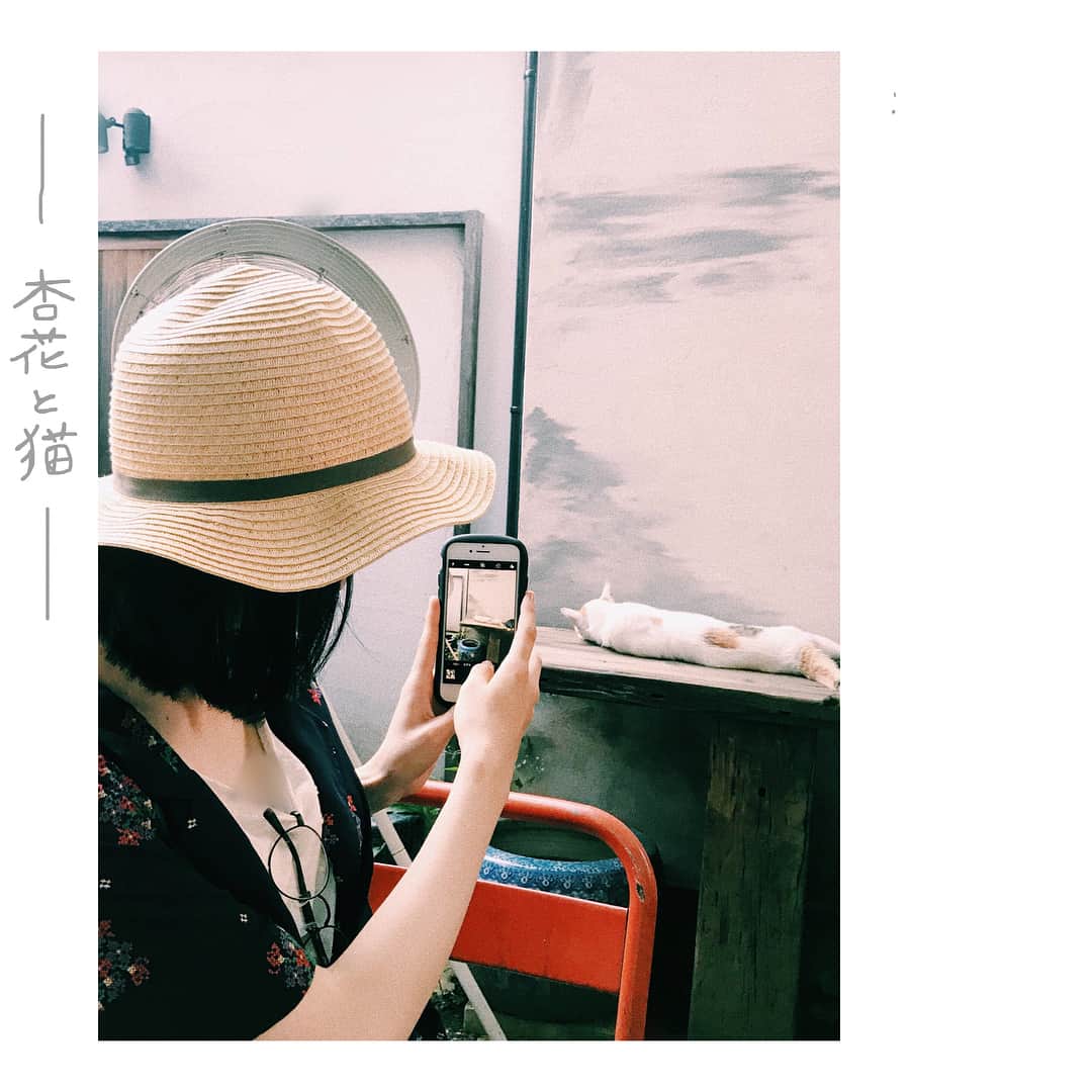 加藤小夏さんのインスタグラム写真 - (加藤小夏Instagram)「#看板猫」8月8日 6時19分 - __cnp_