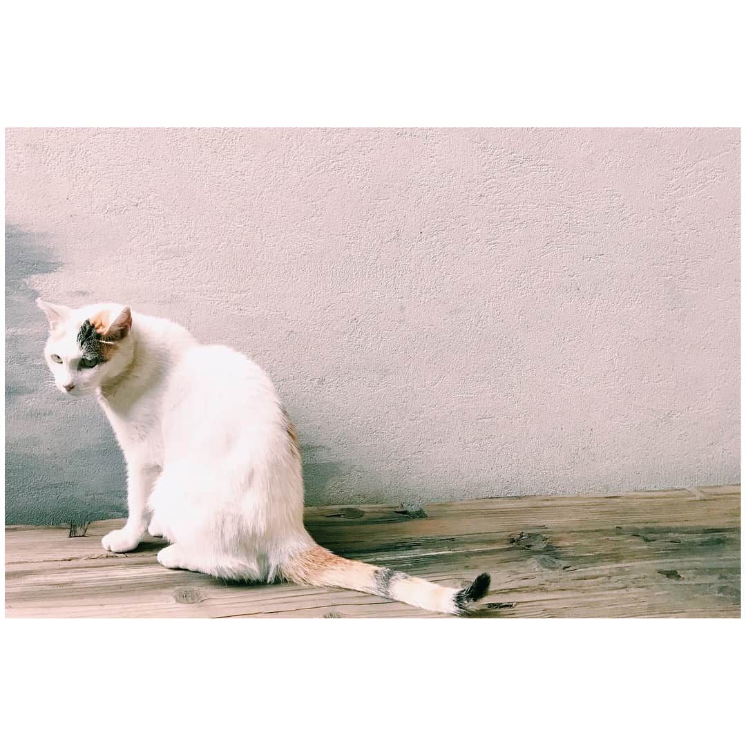 加藤小夏のグルメインスタ