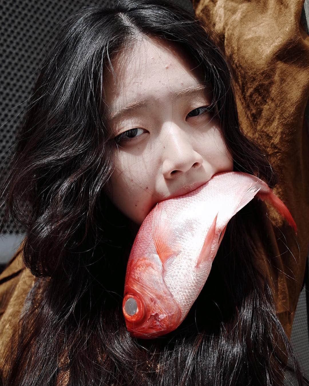 トヲルのグルメインスタ