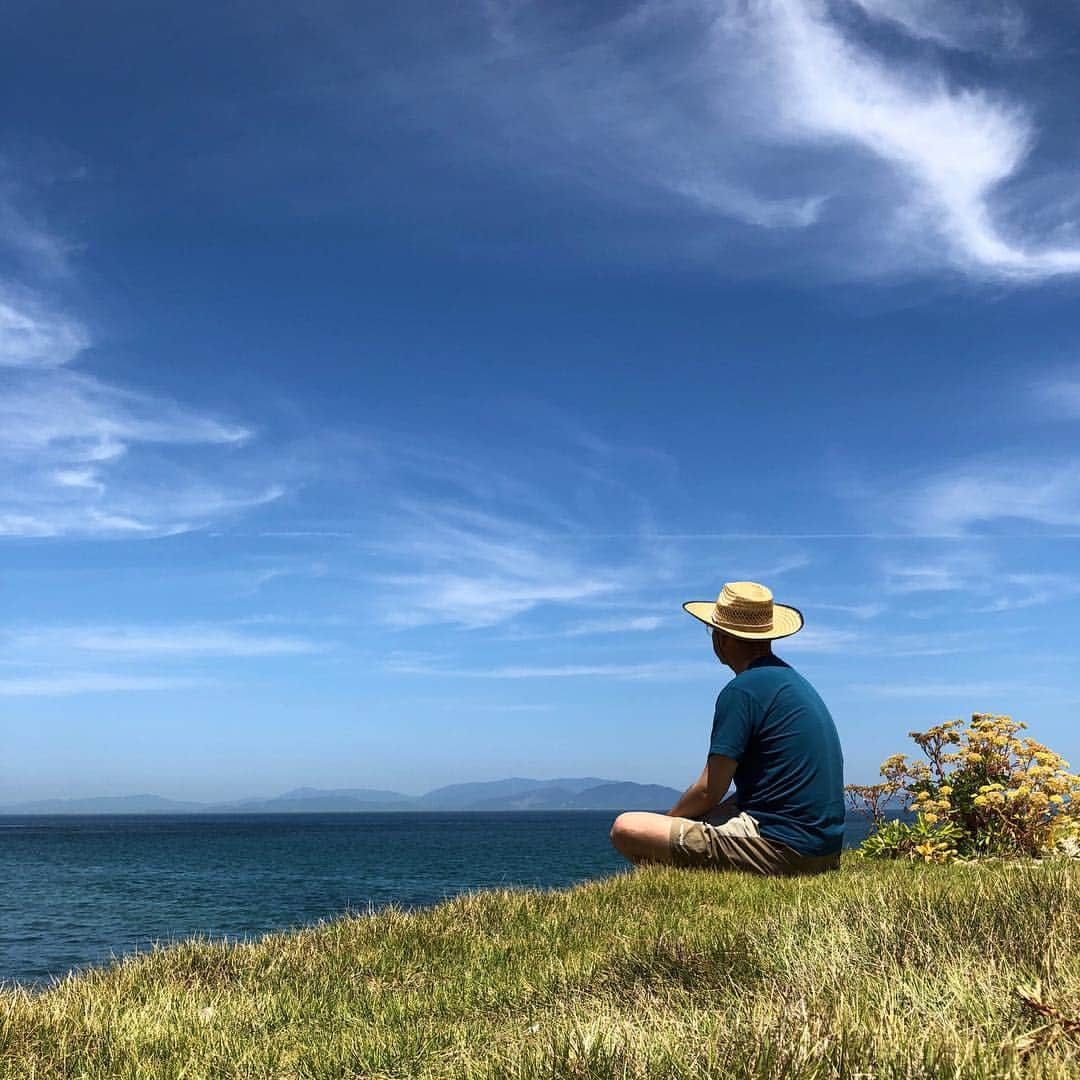 tosa_nishikawaのインスタグラム：「. Summer sea. . . 温泉に行こうと思って家を出たんですが、あまりに天気が良くて、なかなかたどり着けません。 . . 愛媛県 松山市 . . #tokyo_grapher#instagramjapan#mwjp#youmobile#igersjp#indies_gram#shootermag_japan#photooftheday#ink361_asia#iPhoneonly#setouchigram77 #screen_archive#indy_photolife #奥行き人 #愛媛#ehime #shikoku_trip #ほふく撮影隊 #daily_photo_jpn #incredible_shot #lines_and_points」