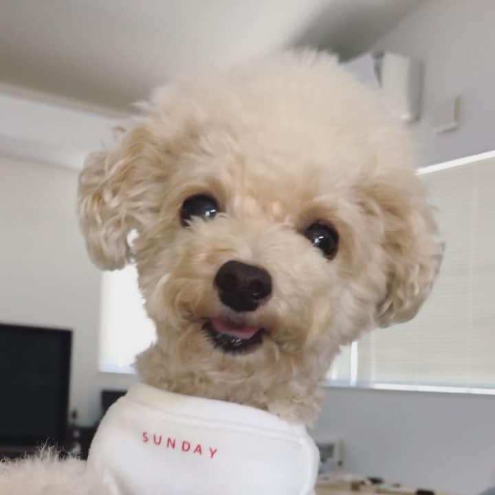 mizuのインスタグラム：「やっと届くタッチがかわいくて♡」