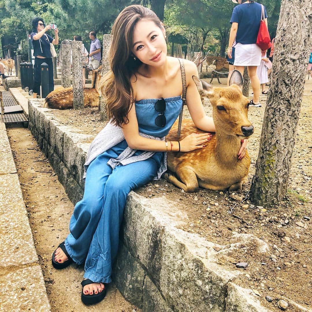のインスタグラム：「Bambi🦌 . 奈良公園って東京ディズニーランドの12個分らしい😱 . 鹿が食べてくれるから100年間芝刈りしたことないんだって！(人力車のお兄さんうんちく)  #国内旅行 #奈良」