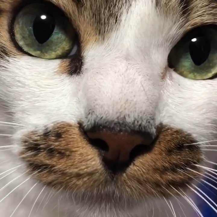 ghemtexのインスタグラム