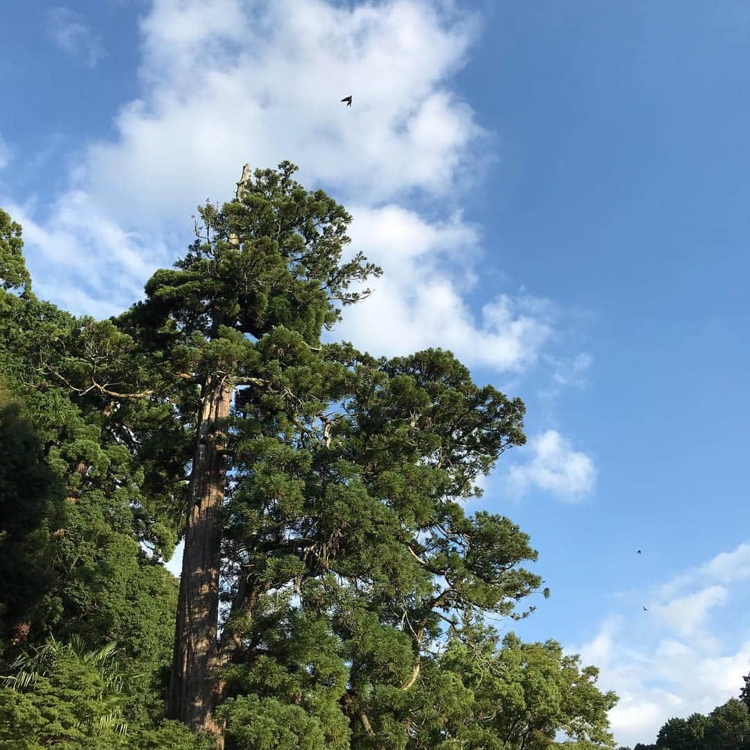 のインスタグラム：「#金剛寺  #河内長野市 #河内長野」