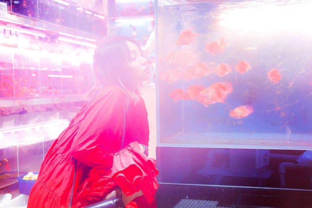 LiSAさんのインスタグラム写真 - (LiSAInstagram)「赤い服着てるから、めちゃ寄ってくるin 香港 \( ¨̮ )/ナカマー おやすみなさい。 #LiSA #RED #金魚じゃなくて熱帯魚らしい photo by @kamiiisaka」8月11日 2時33分 - xlisa_olivex