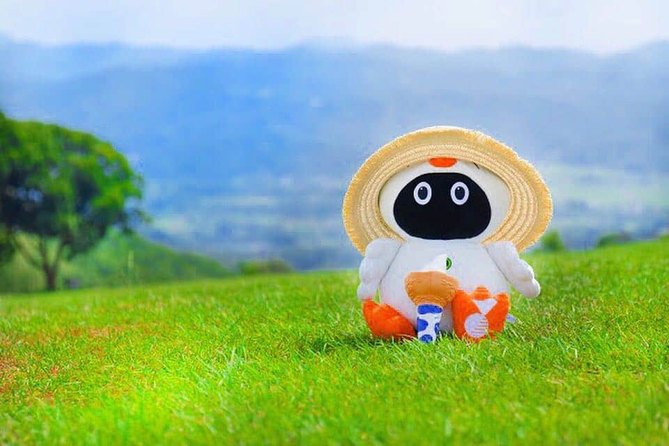 山野楽器のインスタグラム：「. 本日8月11日は、山の日〜〜⛰ ということで、今日は山とHooちゃんの写真を(⌒ 8 ⌒) . #山の日 #山野日 #山野の日 #山野楽器 ……似てますよねぇ………🤣？笑 . #うちの楽器の推し角度 キャンペーンは本日までッ🎸 . . #summer #summertime #summervacation  #summerdays #yamanomusic #ginza #character #Hooちゃん #キャラクター #ぬい撮り #ぬいどり #音楽好きな人と繋がりたい #音楽 #楽器 #音楽のある暮らし #療癒 #夏 #夏休み #暑い #夏の思い出 #平成最後の夏」
