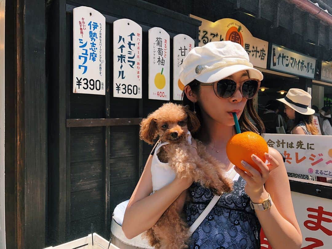 青木茉耶さんのインスタグラム写真 - (青木茉耶Instagram)「* . . ティアラも大好物🍊 #オレンジ 丸ごとジュース🍹 . . #三重旅行 #伊勢神宮 #おかげ横丁 #maya旅 #夏 #todaysoutfit #todayscode #fashion #outfit #code #cordinate #ootd #小さいさん #ミニコーデ #sサイズ #ファッション #コーデ #今日のコーデ #maya私服  #サロンモデル #サロモ #愛犬 #トイプードル #プードル #平成最後の夏」8月12日 0時04分 - ma_ya_126