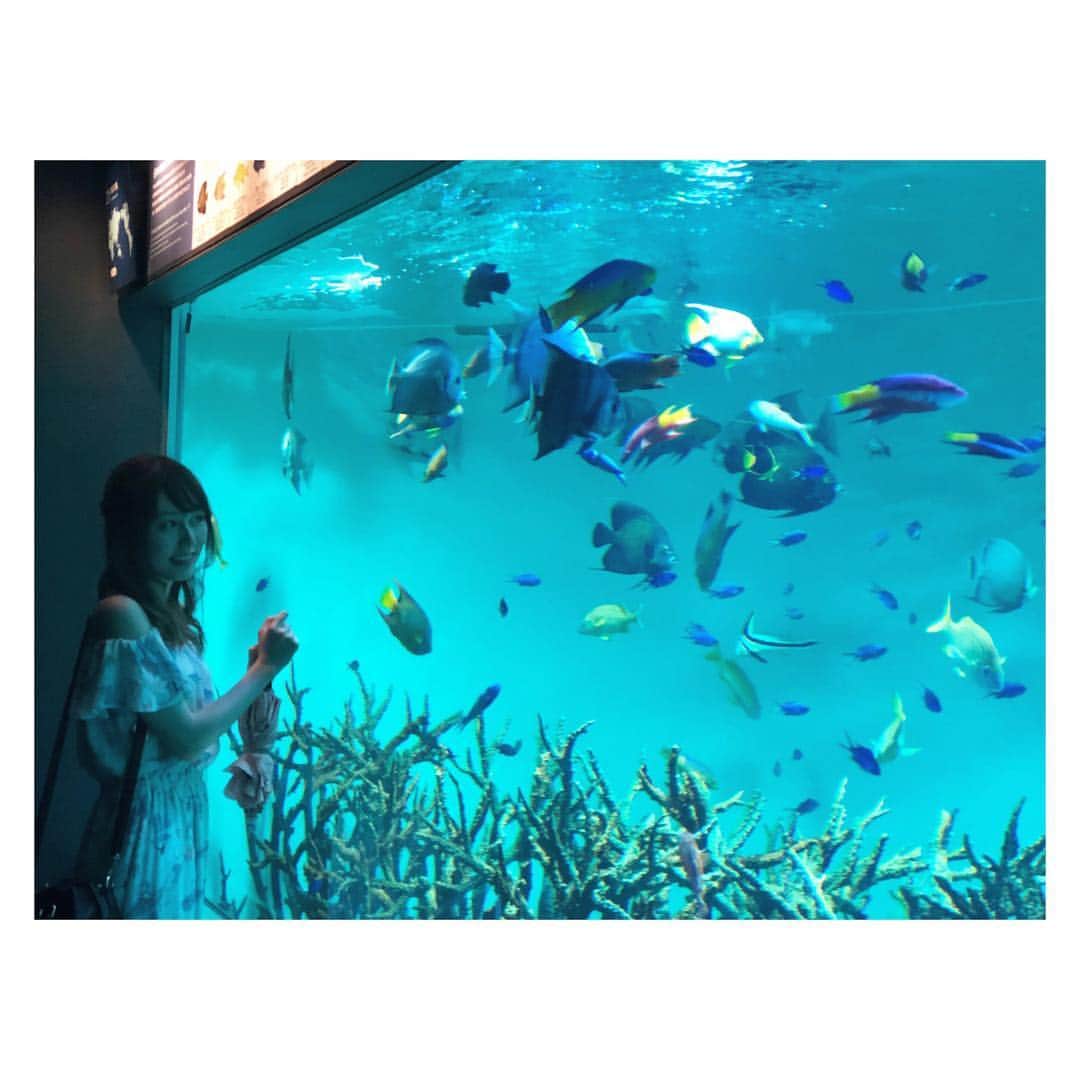 のインスタグラム：「最近インスタ投稿していなかったので、久々の投稿🏖🐠 . .  今日も投票よろしくお願いします🙇🙏 プロフィール欄からも投票できます🙇‍♂️⤵︎⤵︎⤵︎ ▷ https://misscolle.com/jissen2018/vote  #葛西臨海水族園 #水族館 #実践女子大学 #ミス実践 #ミスコン」