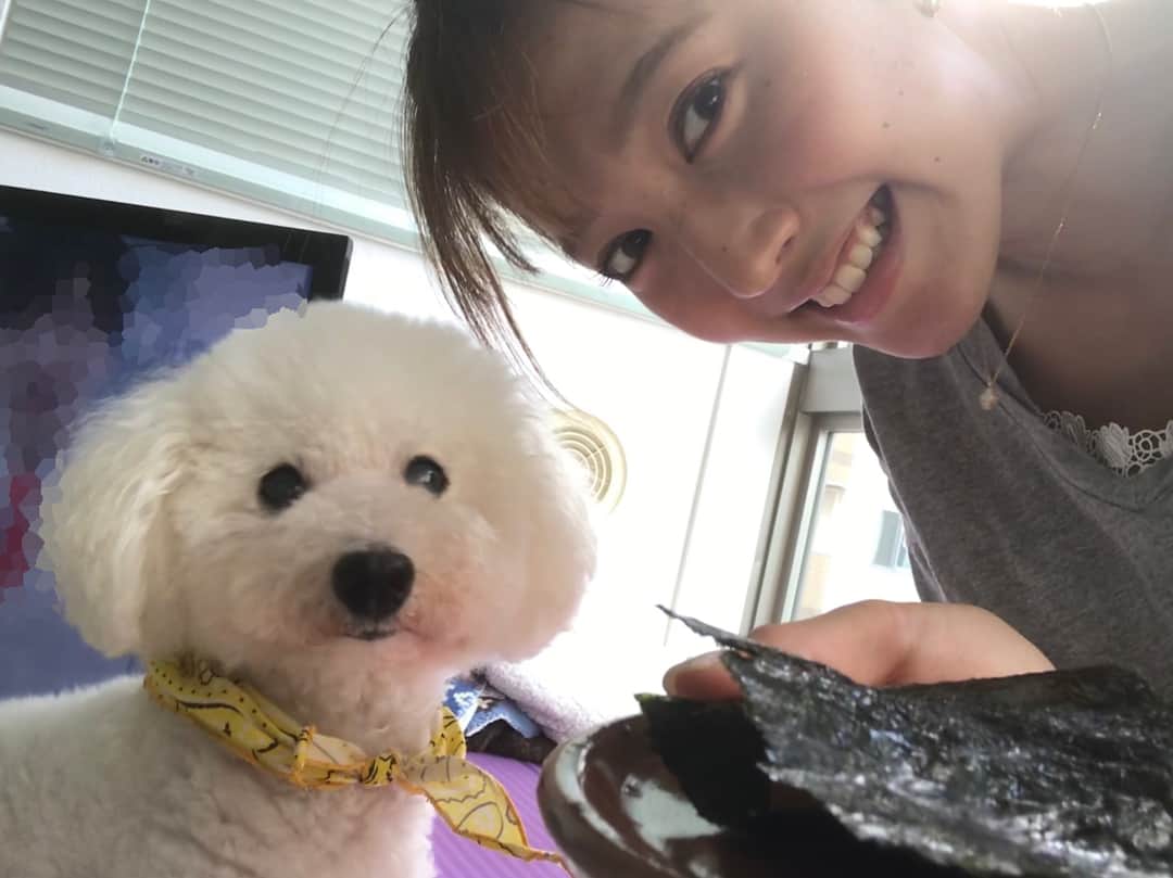 小澤陽子さんのインスタグラム写真 - (小澤陽子Instagram)「in private❁  多夢(たむ)と、お餅タイム🤤🍙 . . #多夢お🐶 #癒し #欲しいの？ #食べちゃダメだよ #かまってちゃん #食いしん坊 #もちもちな物が好きです(多夢がじゃなくて私。笑」8月11日 15時36分 - yoko.ozawa729