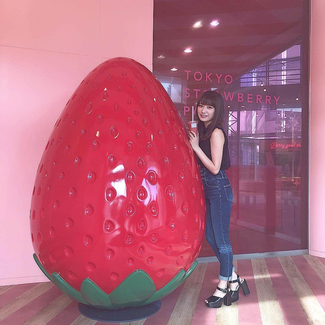 桑島 夢のグルメインスタ