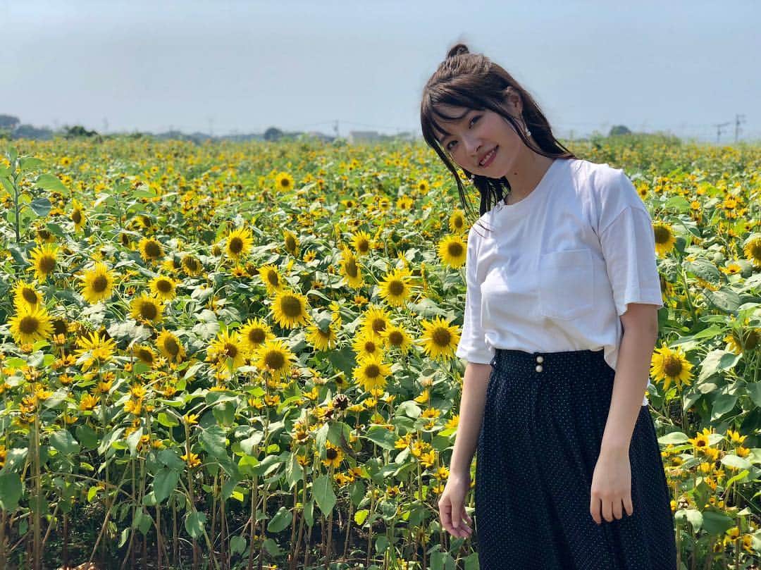 上田眞央のインスタグラム：「ひまわり〜🌻 #ひまわり畑  #まぶしすぎて  #暑すぎて  #顔が 笑」