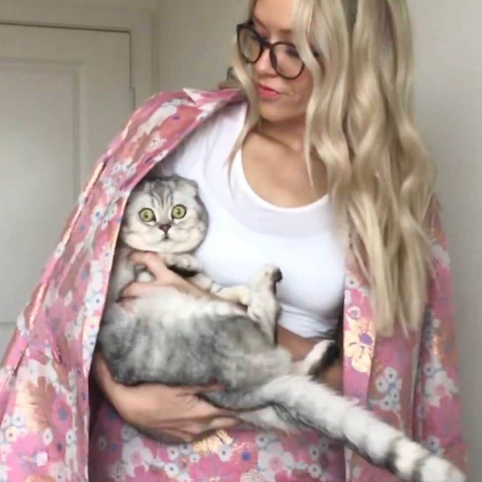 バターのインスタグラム：「I’m not a regular cat mom—I’m a cool cat mom. (We’ve missed you 💘) . . . . .  #girlswithcats #crazycatlady #catmum #catladylife #catladyproblems #catladyforlife #asos #scottishfold #scottishfoldkitten #scottishfoldcat #dogmom #catmom #kitten #awe #leo #introvert #catsagram #stylediary #catoftheday #fluffy #munchkin #whitecat #purrfect #catsofinstagram #lovecats #kitty #cats #catsrule #lmao #catitude」