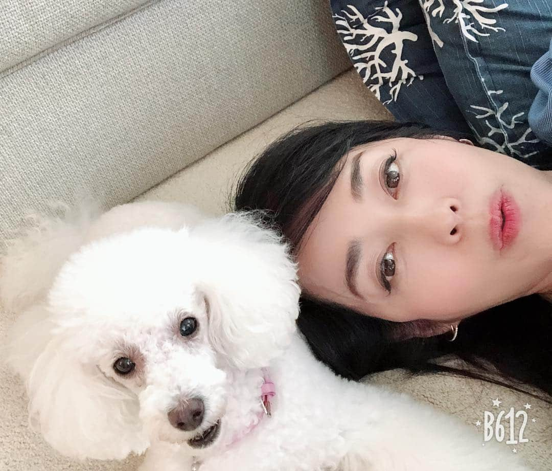 早見優さんのインスタグラム写真 - (早見優Instagram)「Lazy Sunday with Snowy  のんびり日曜日 #poodle #dog #cutie #lazysunday」8月12日 15時32分 - yuyuhayami