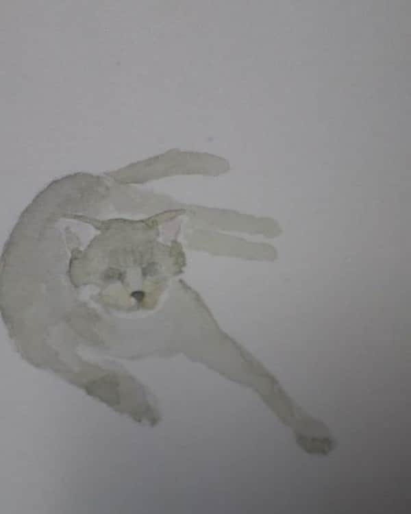 白數里子さんのインスタグラム写真 - (白數里子Instagram)「ネコ。 水彩画。  #水彩画」8月28日 7時23分 - satopoppo1124